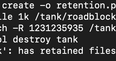 Prevent the destruction of a ZFS filesystem dataset