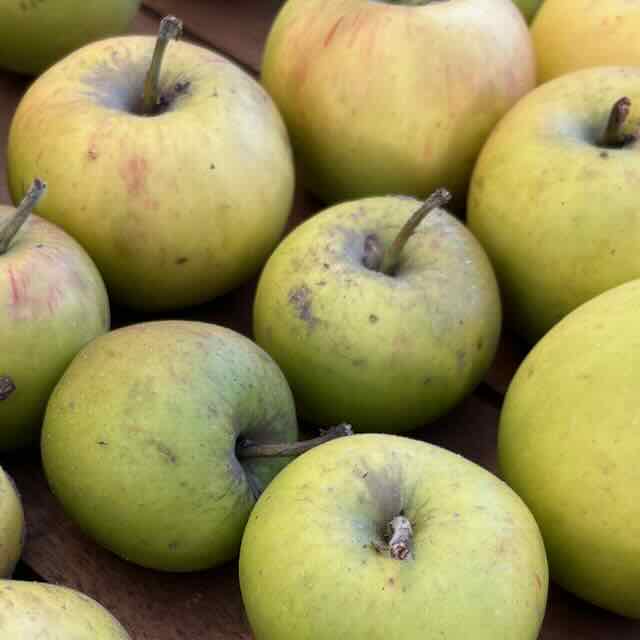 Thoughts: Osterfrüchte